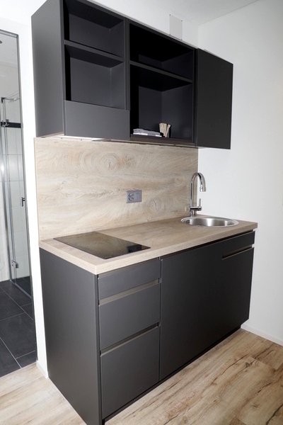 appartement meublé 1 pièce