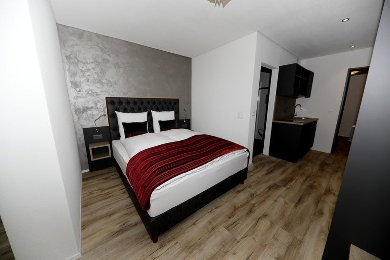 appartement meublé 1 pièce