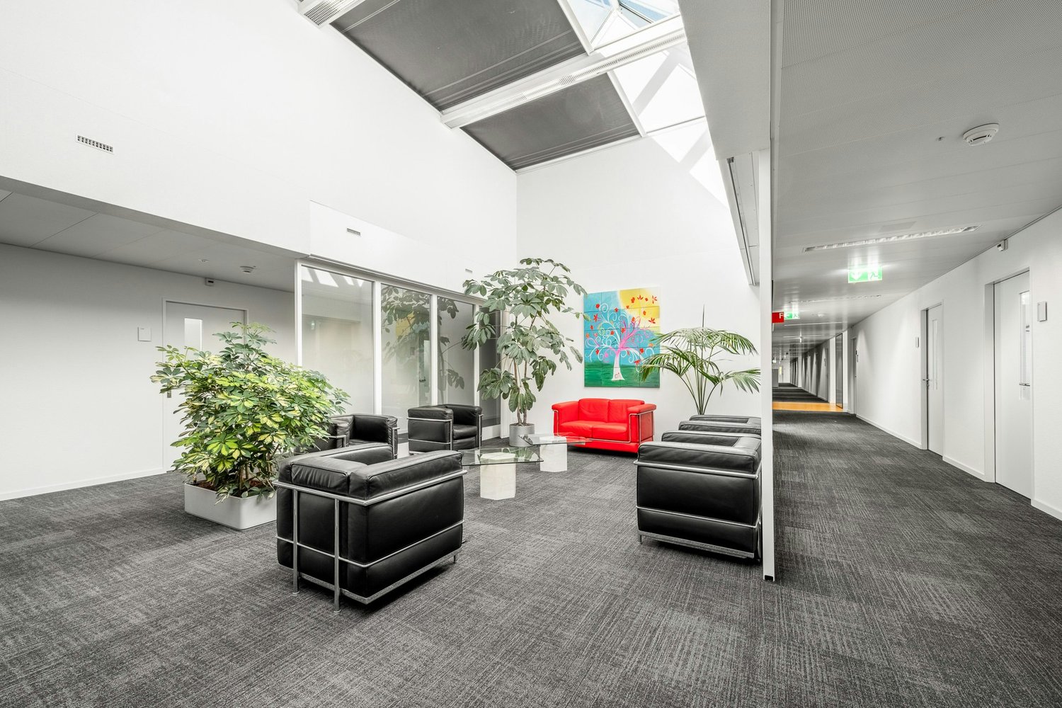 340m² bureau, photo 4 sur 10