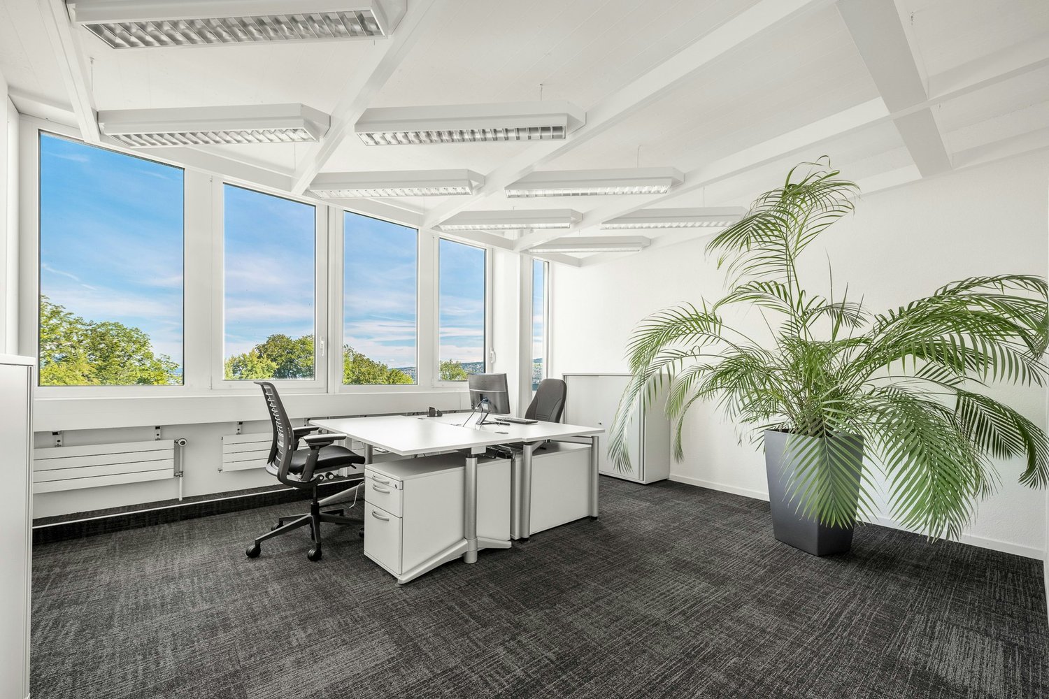 340m² bureau, photo 3 sur 10