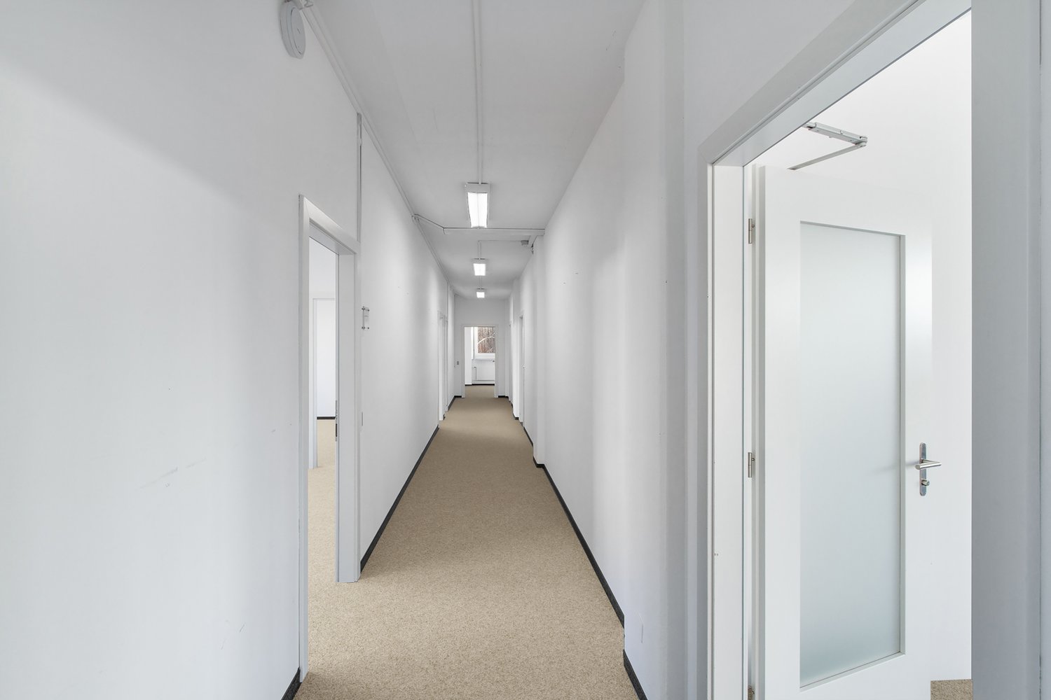 462m² bureau, photo 3 sur 10