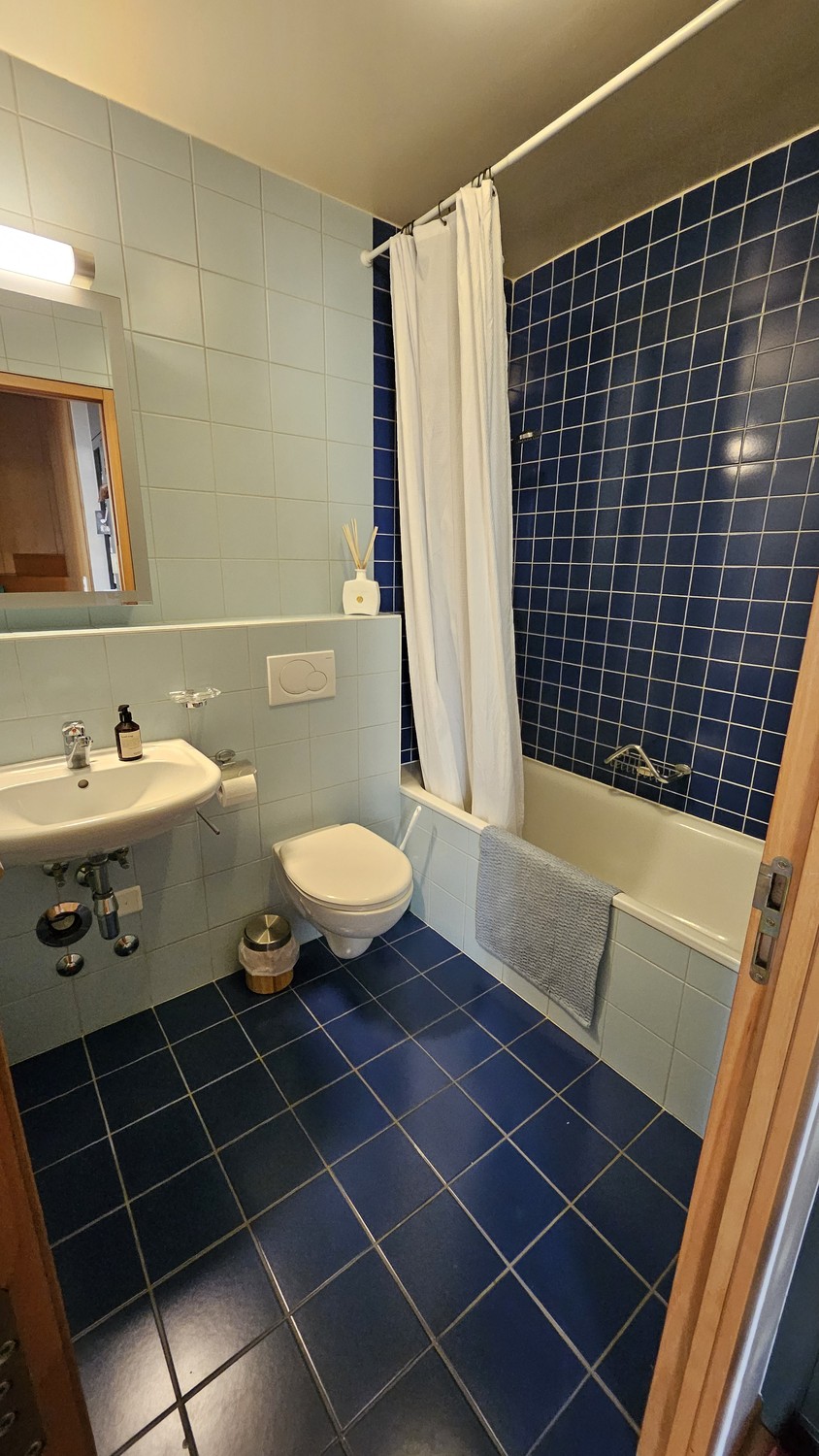 3 ½ rooms apartment, photo 9 sur 9