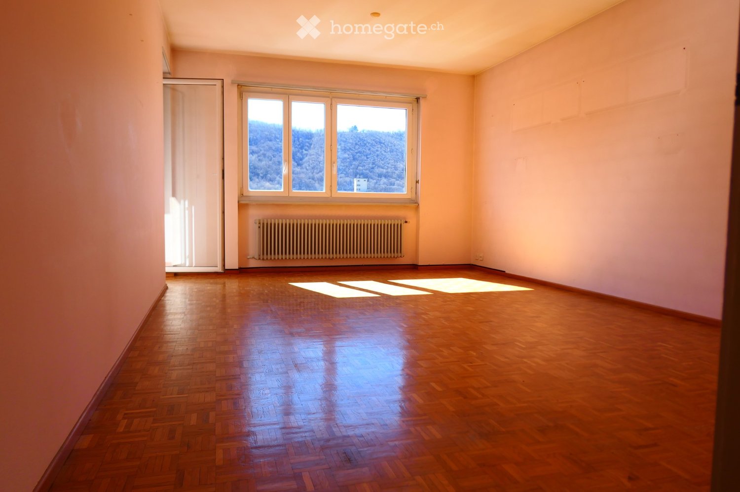 Appartement de 2 ½ pièces