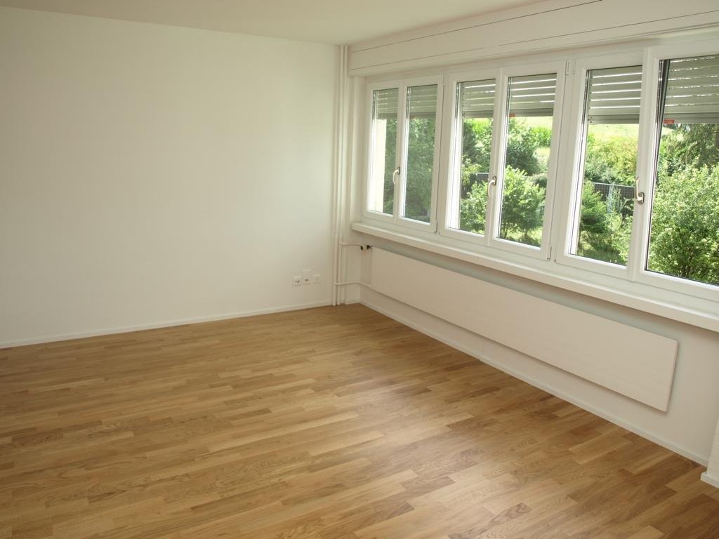 1 room apartment