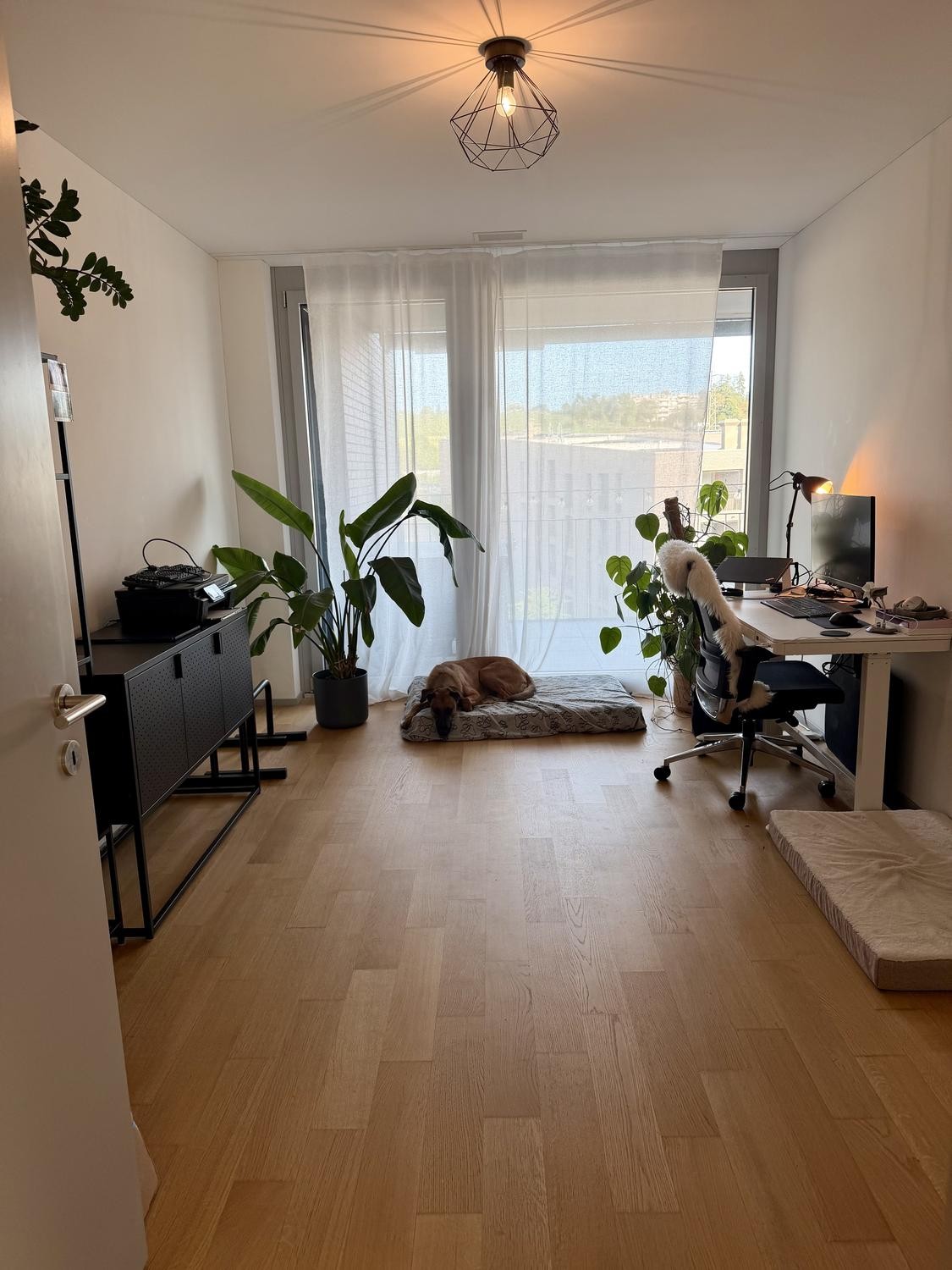 Appartement de 3 ½ pièces
