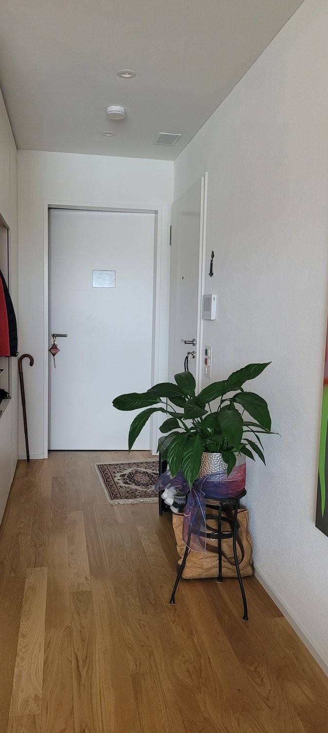 Appartement meublé de 2 ½ pièces, photo 7 sur 7