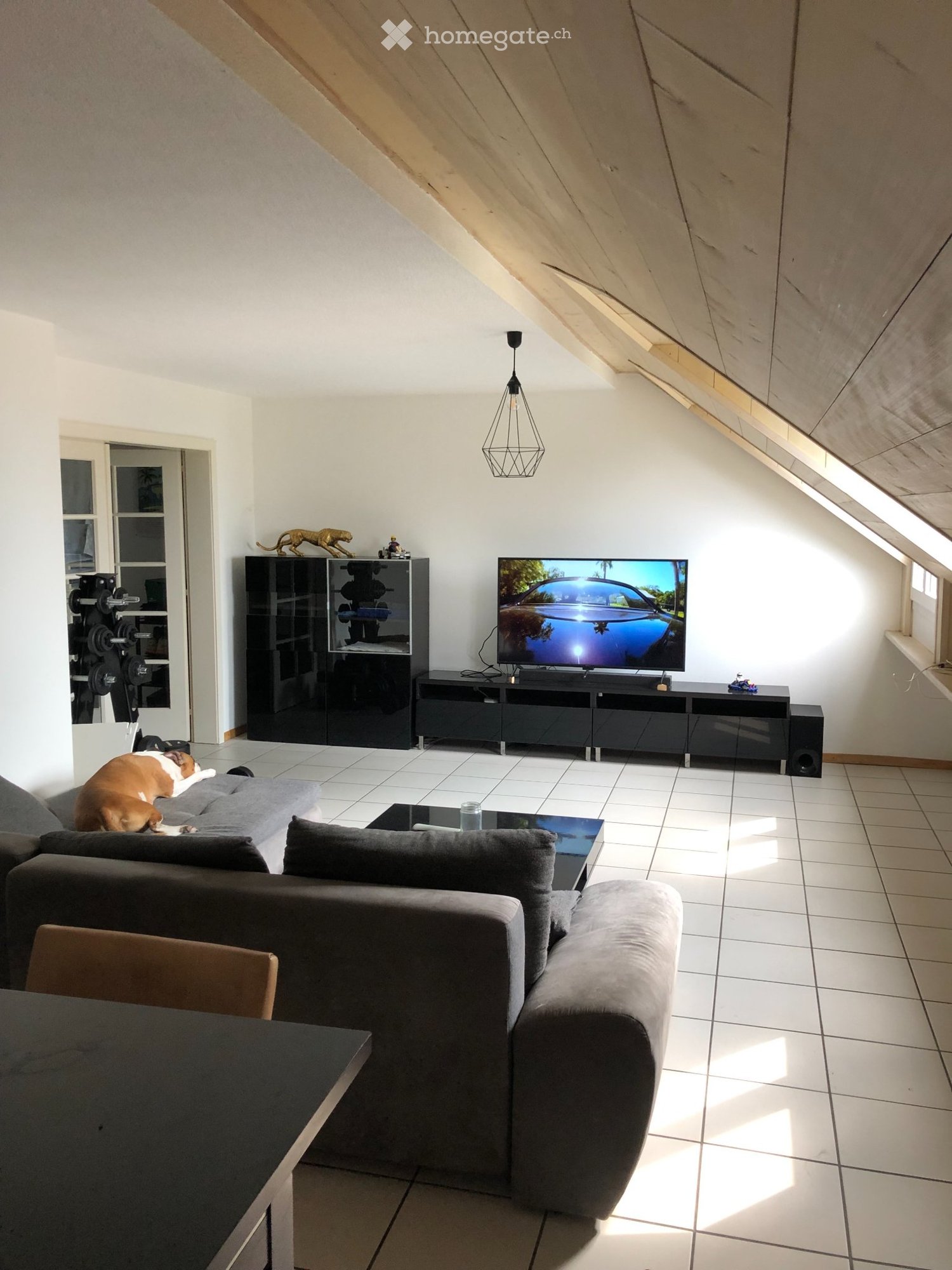 1 room single room