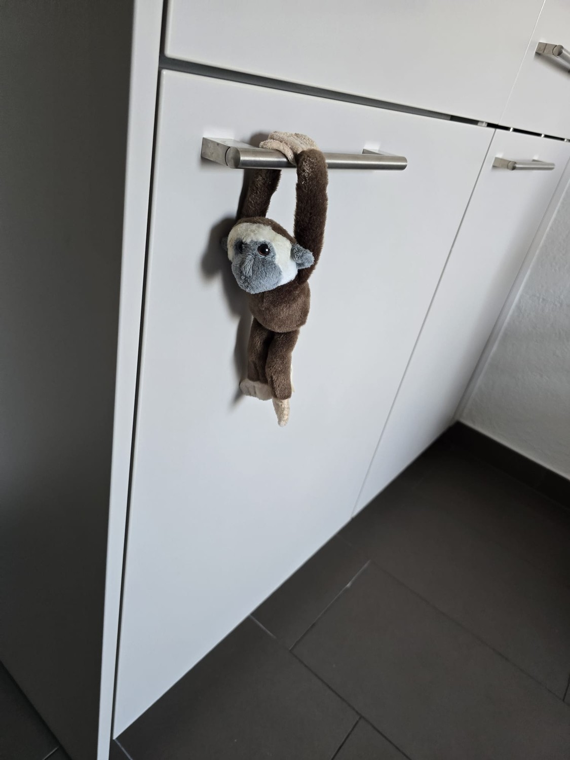 Chambre en colocation, photo 2 sur 10