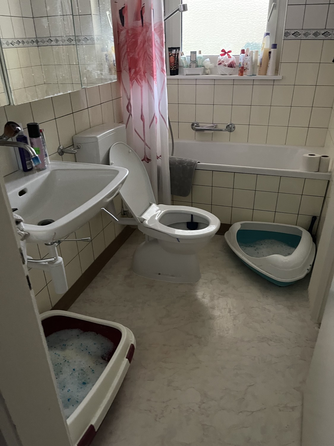 Appartement de 2 pièces, photo 3 sur 4