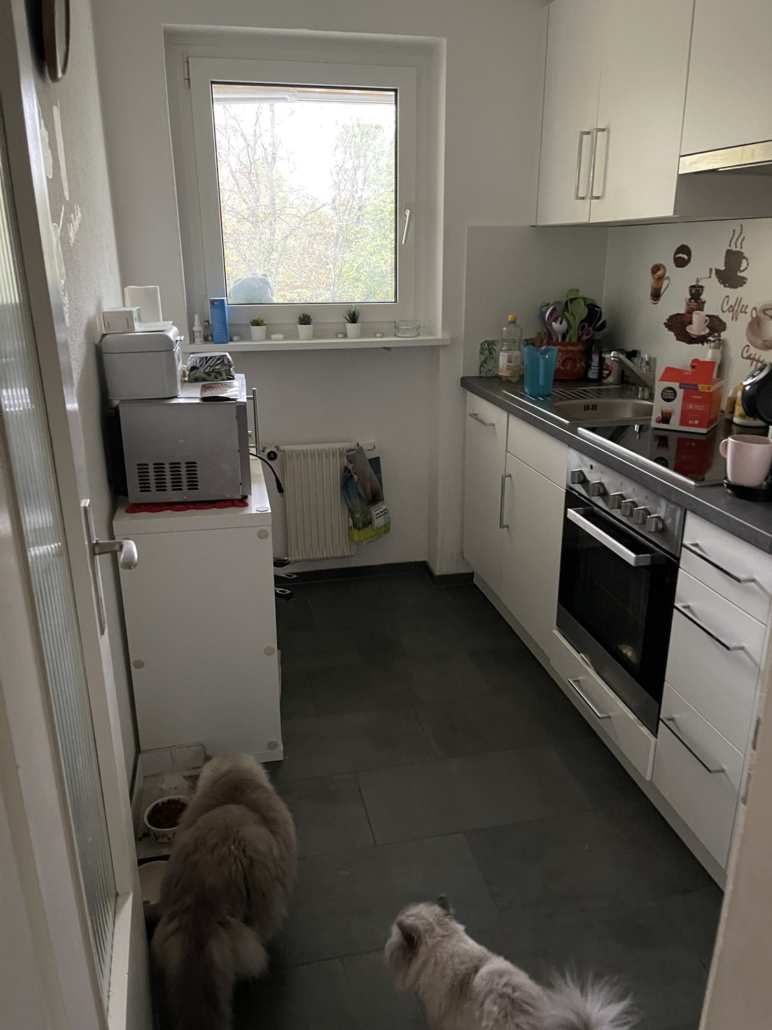 Appartement de 2 pièces, photo 2 sur 4
