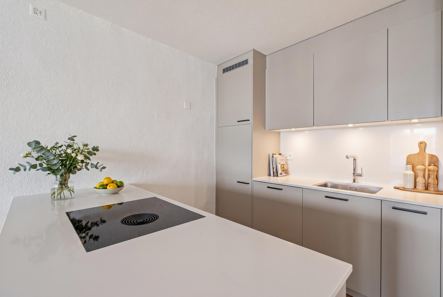 Appartement de 2 ½ pièces, photo 2 sur 10
