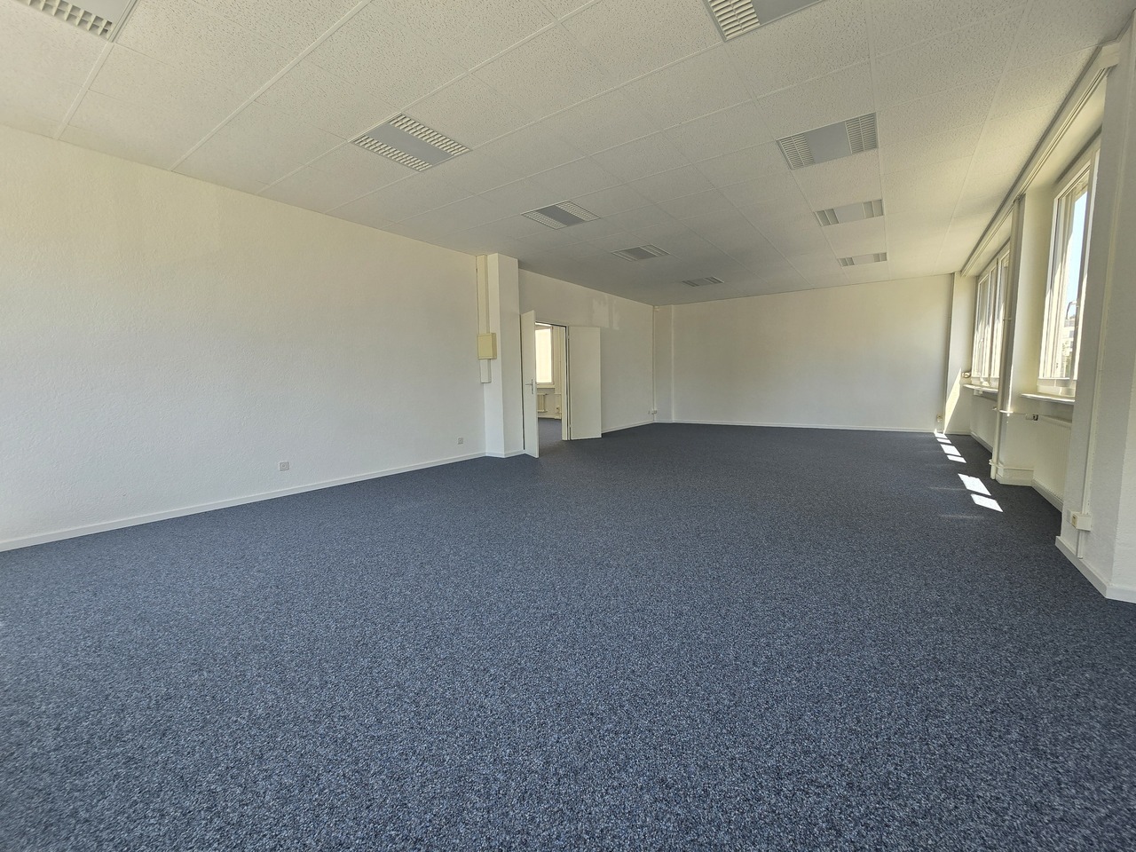 237m² office, photo 5 sur 7