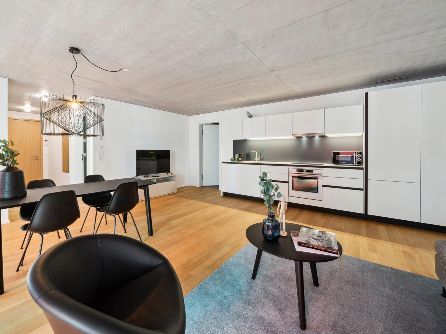 Appartement de 2 ½ pièces