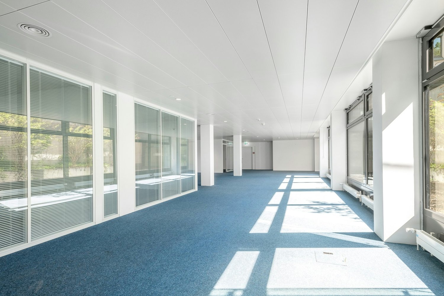 316m² bureau