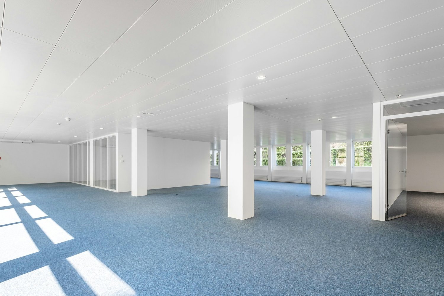 316m² bureau