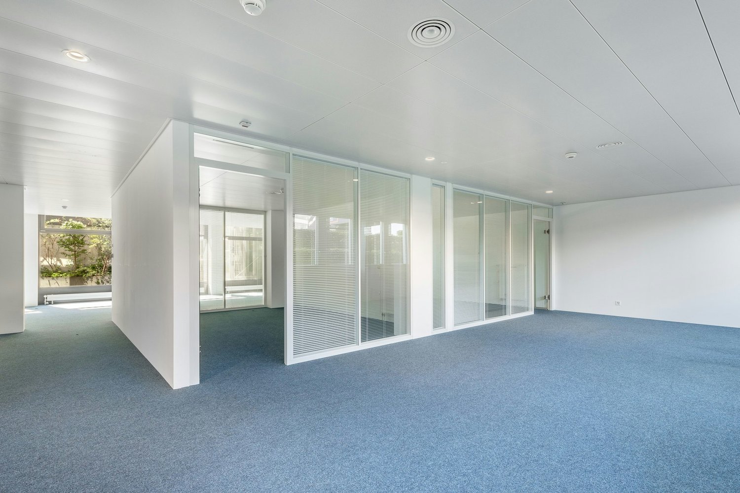316m² bureau