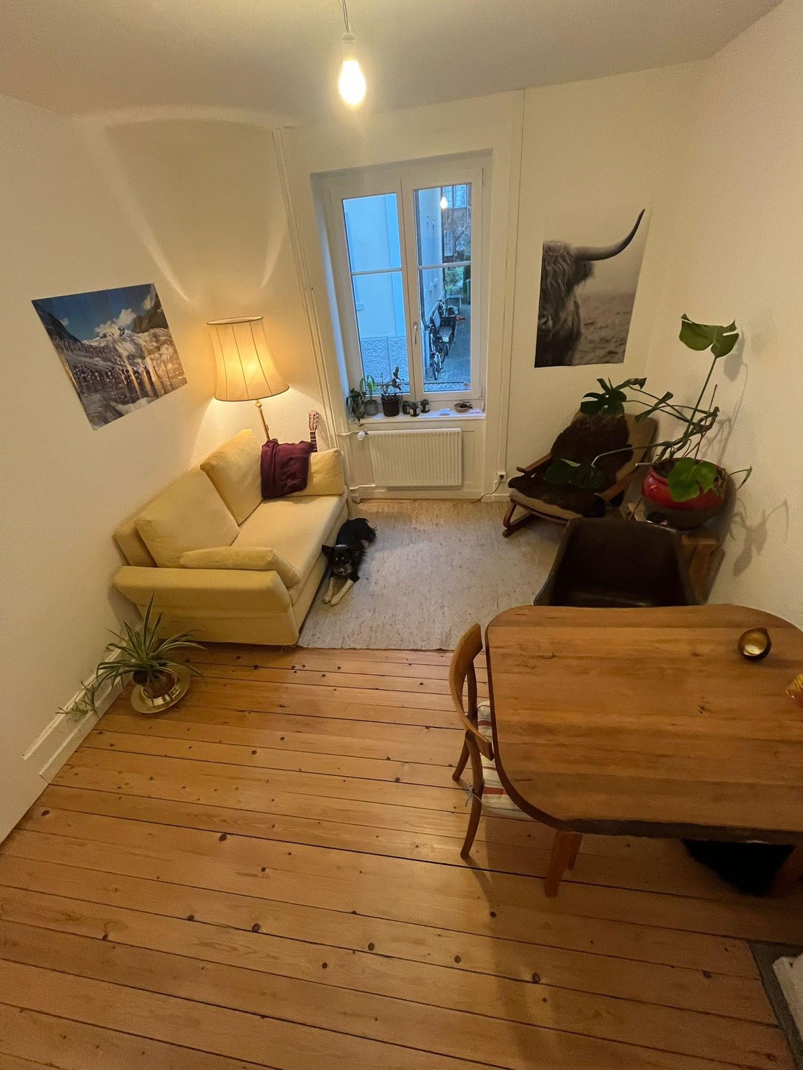 Chambre dans une colocation, photo 4 sur 8
