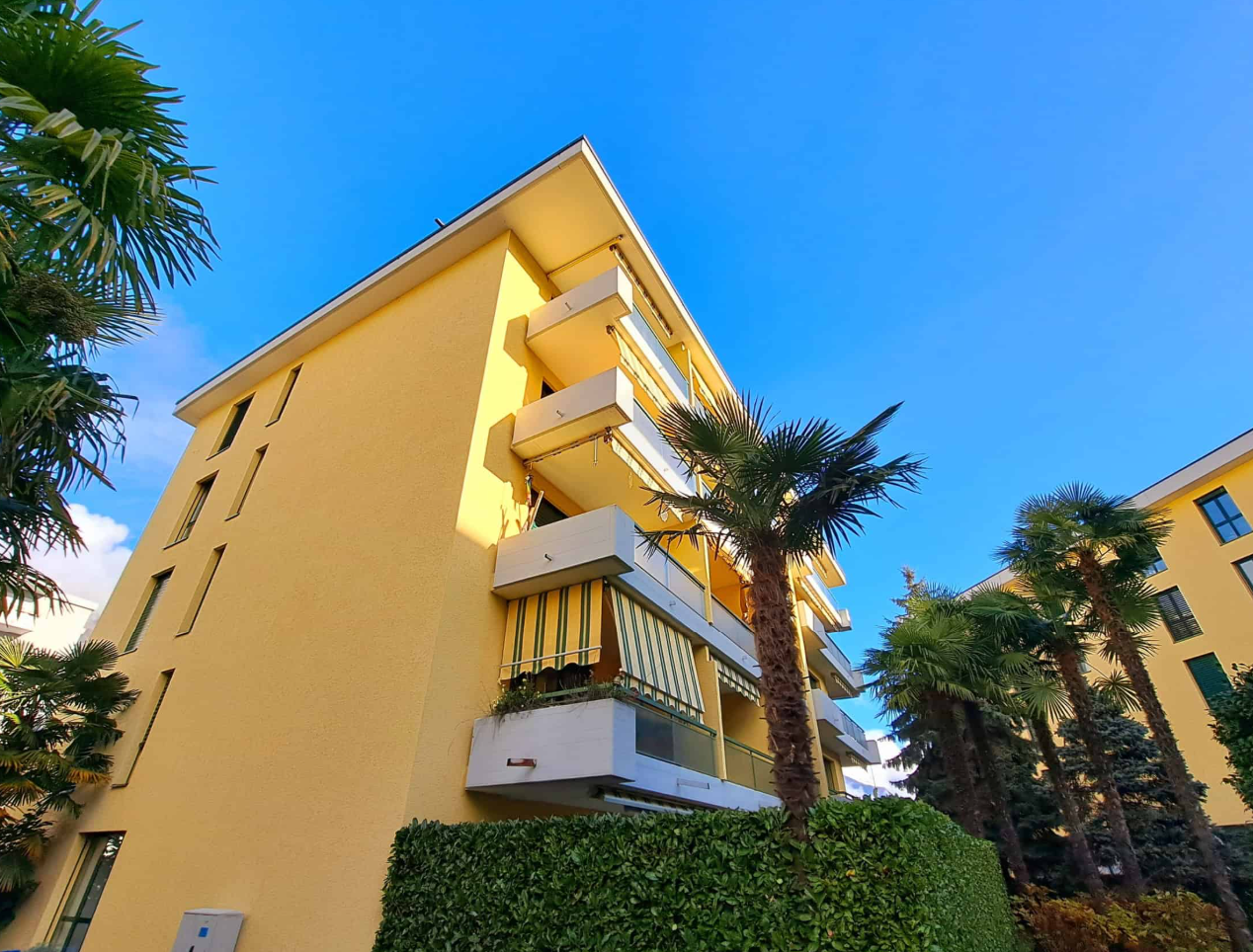 Appartement de 1 ½ pièces