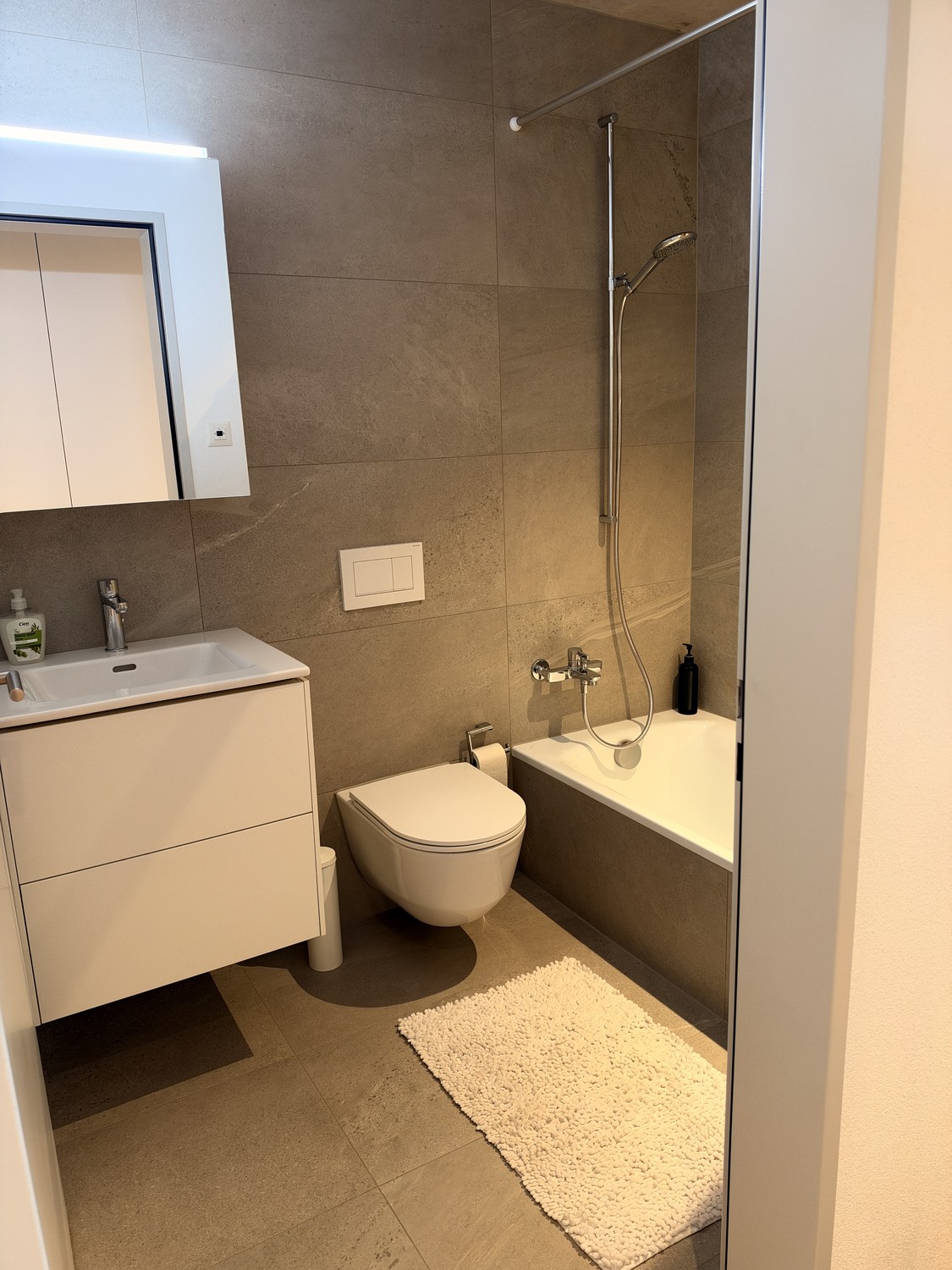 Appartement de 3 ½ pièces