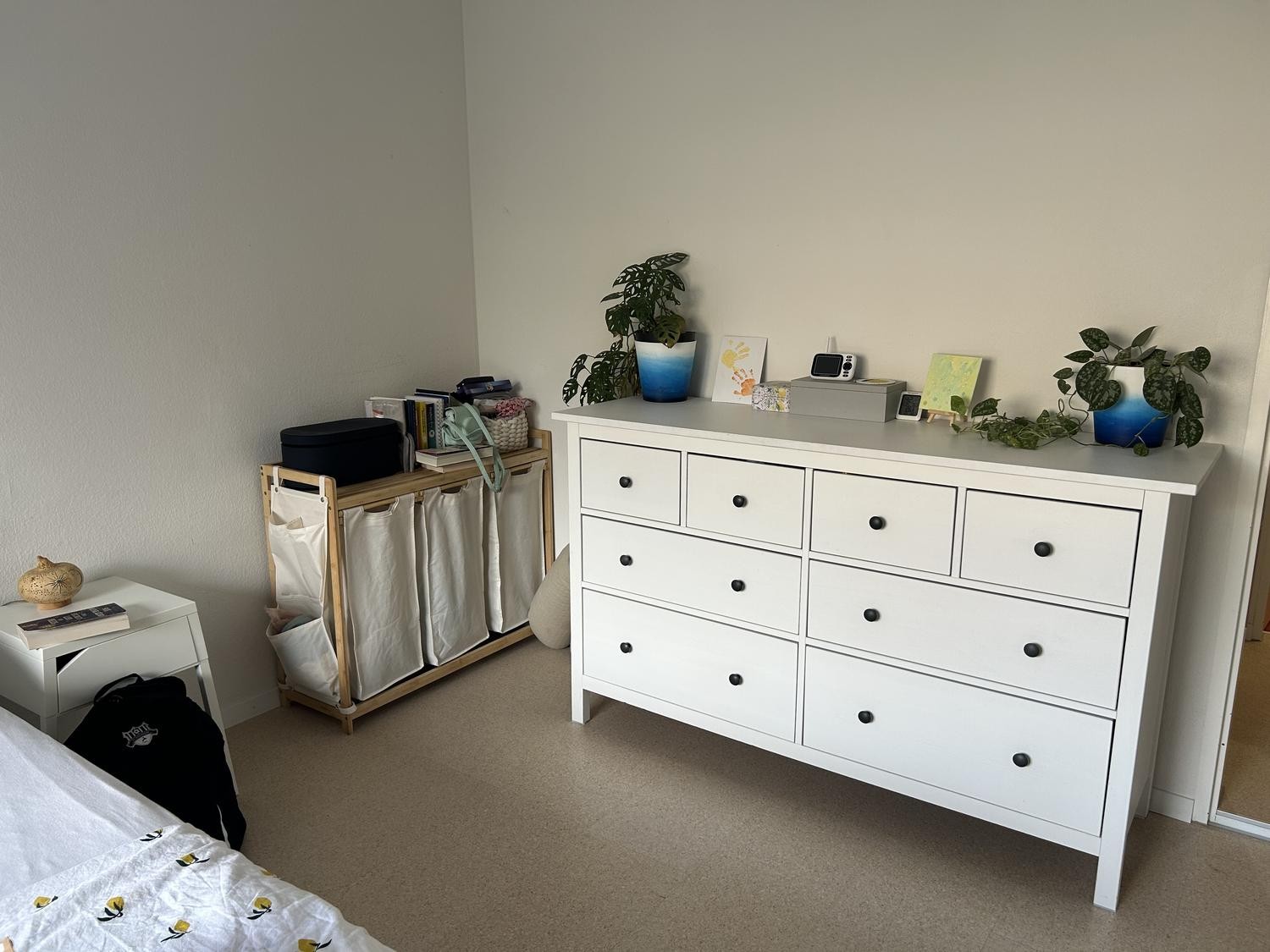 Appartement de 3 ½ pièces