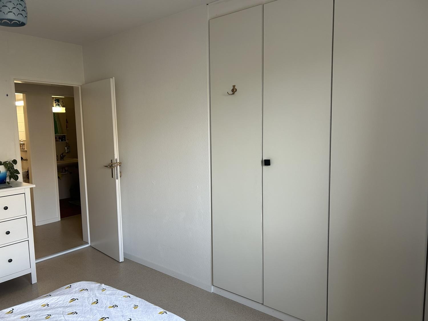 Appartement de 3 ½ pièces