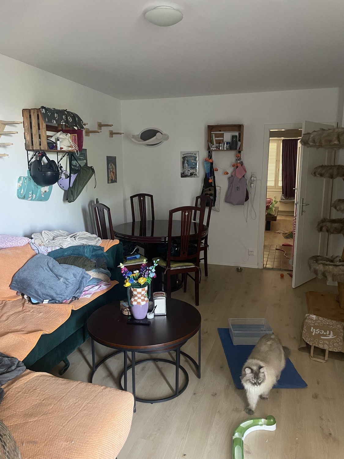 Appartement de 2 pièces, photo 1 sur 8