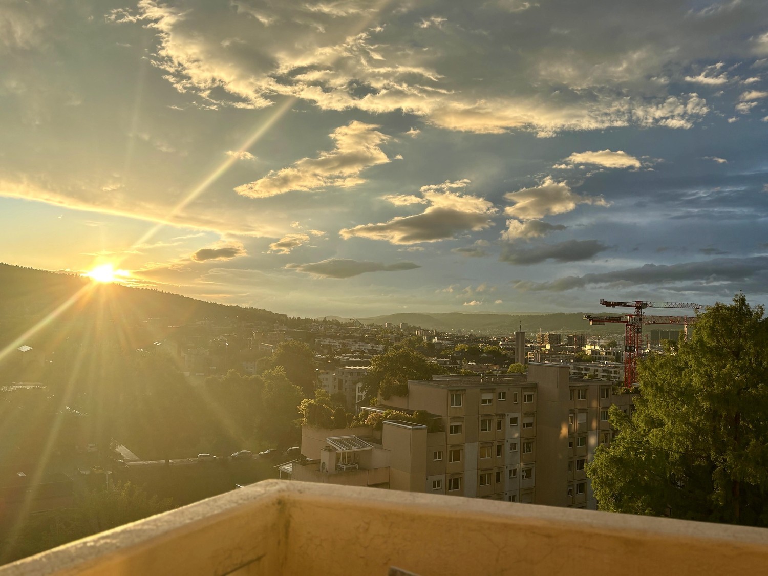 Stanza in un appartamento condiviso