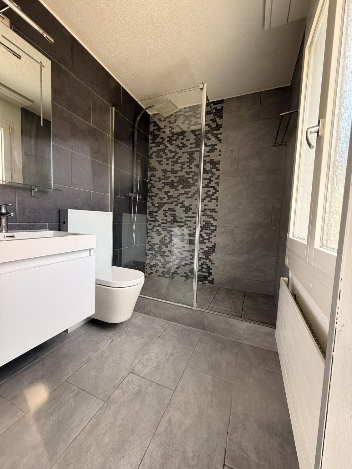 Appartement de 1 ½ pièces, photo 3 sur 3