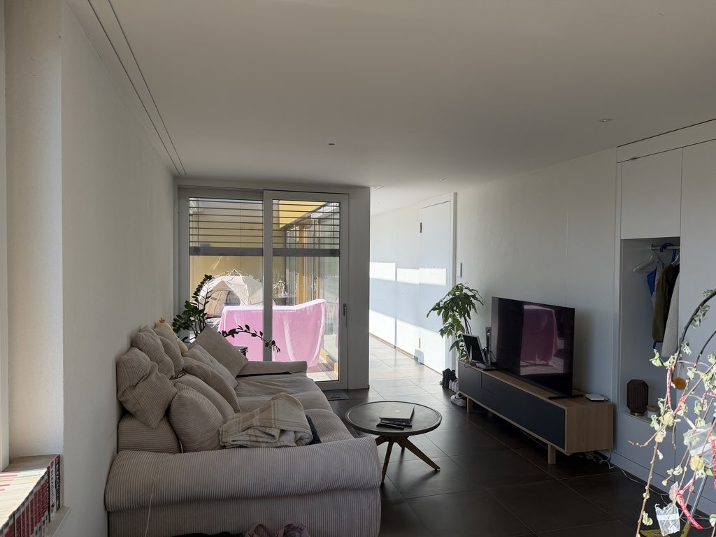 3 ½ rooms apartment, photo 4 sur 8