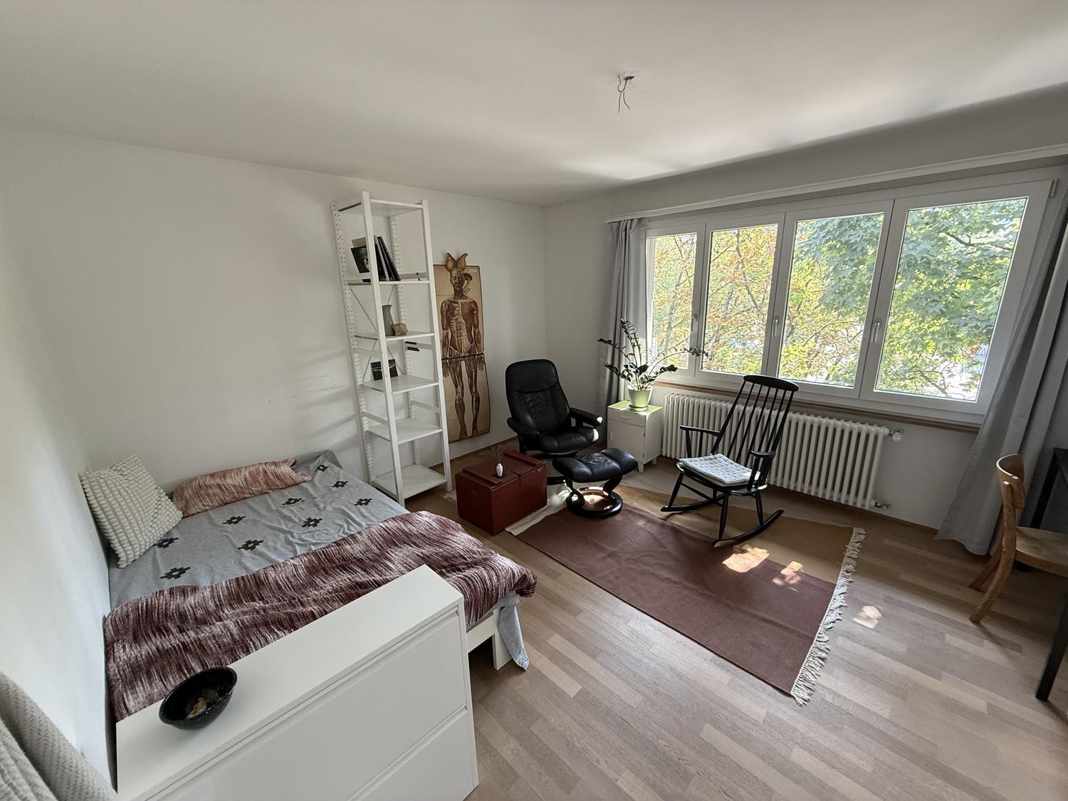 Chambre dans une colocation