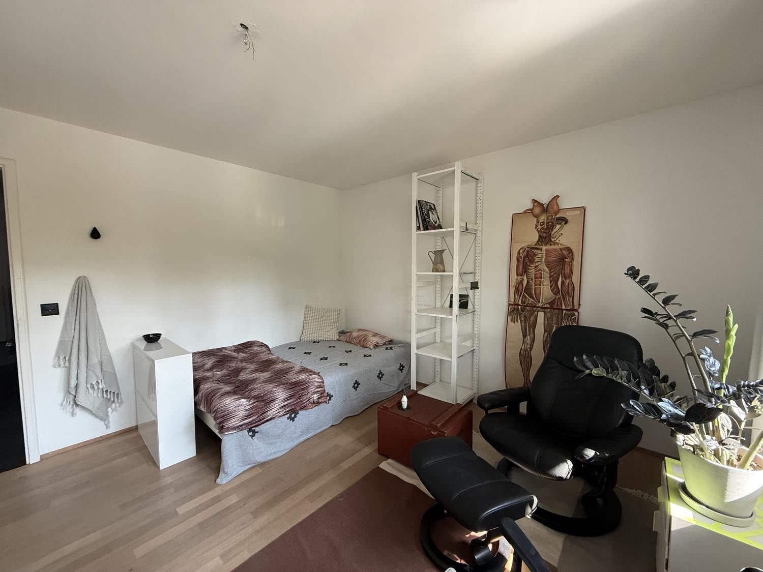 Chambre dans une colocation