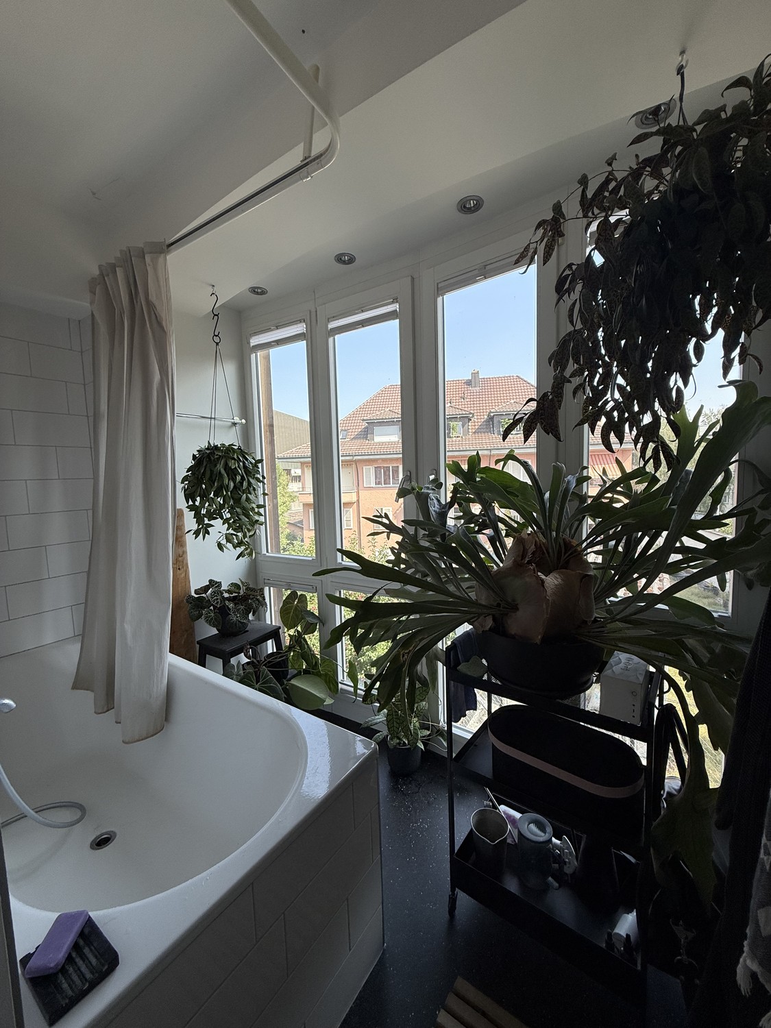 Chambre dans une colocation