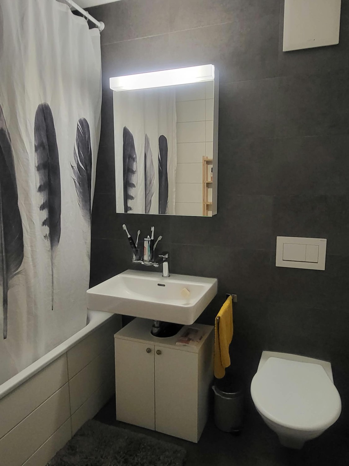 Room in a shared flat