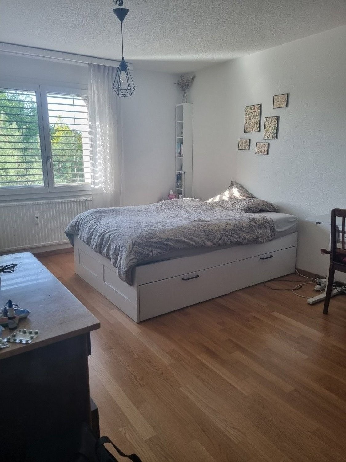 Room in a shared flat