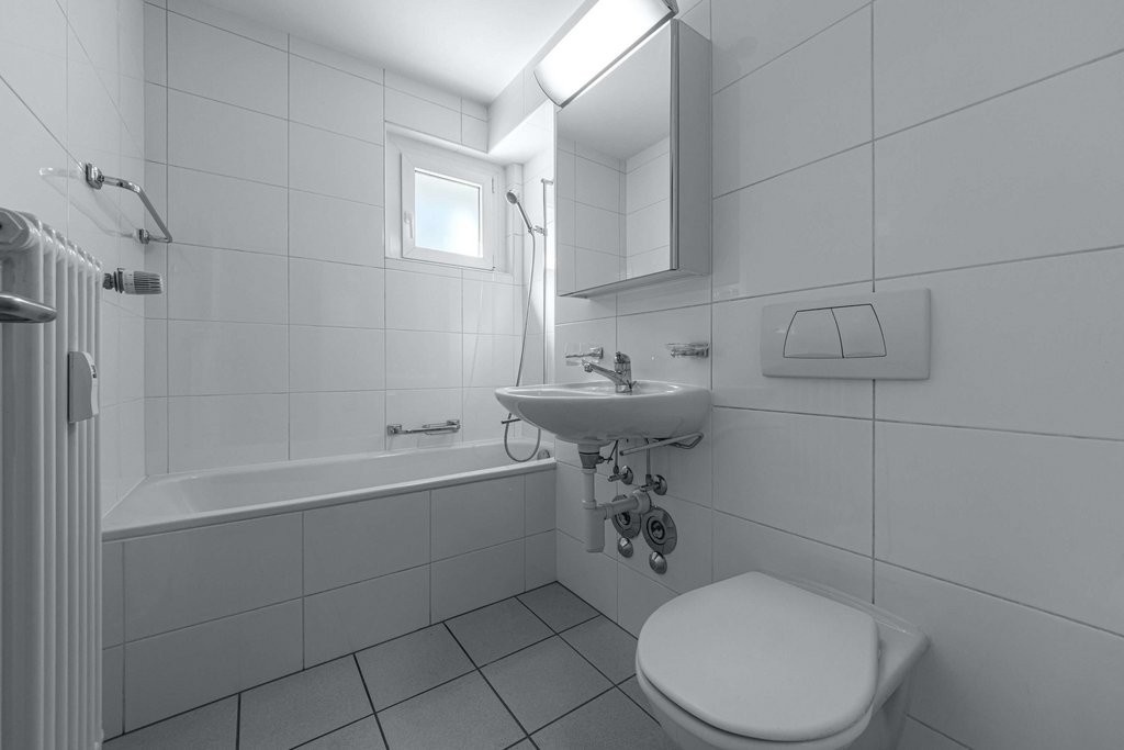Appartement de 3 ½ pièces
