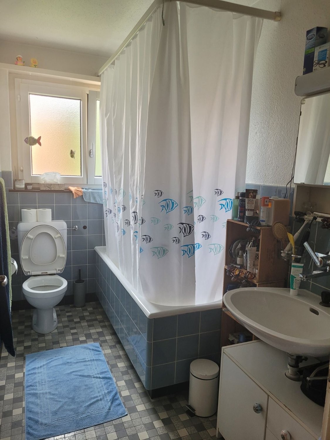 Appartement meublé de 3 ½ pièces