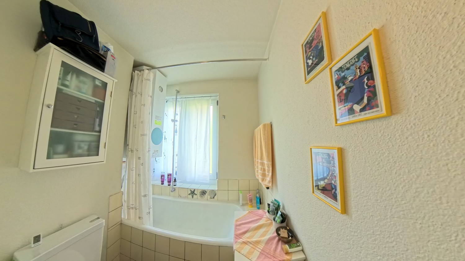 Appartement de 3 ½ pièces