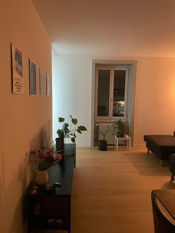 Stanza in un appartamento condiviso