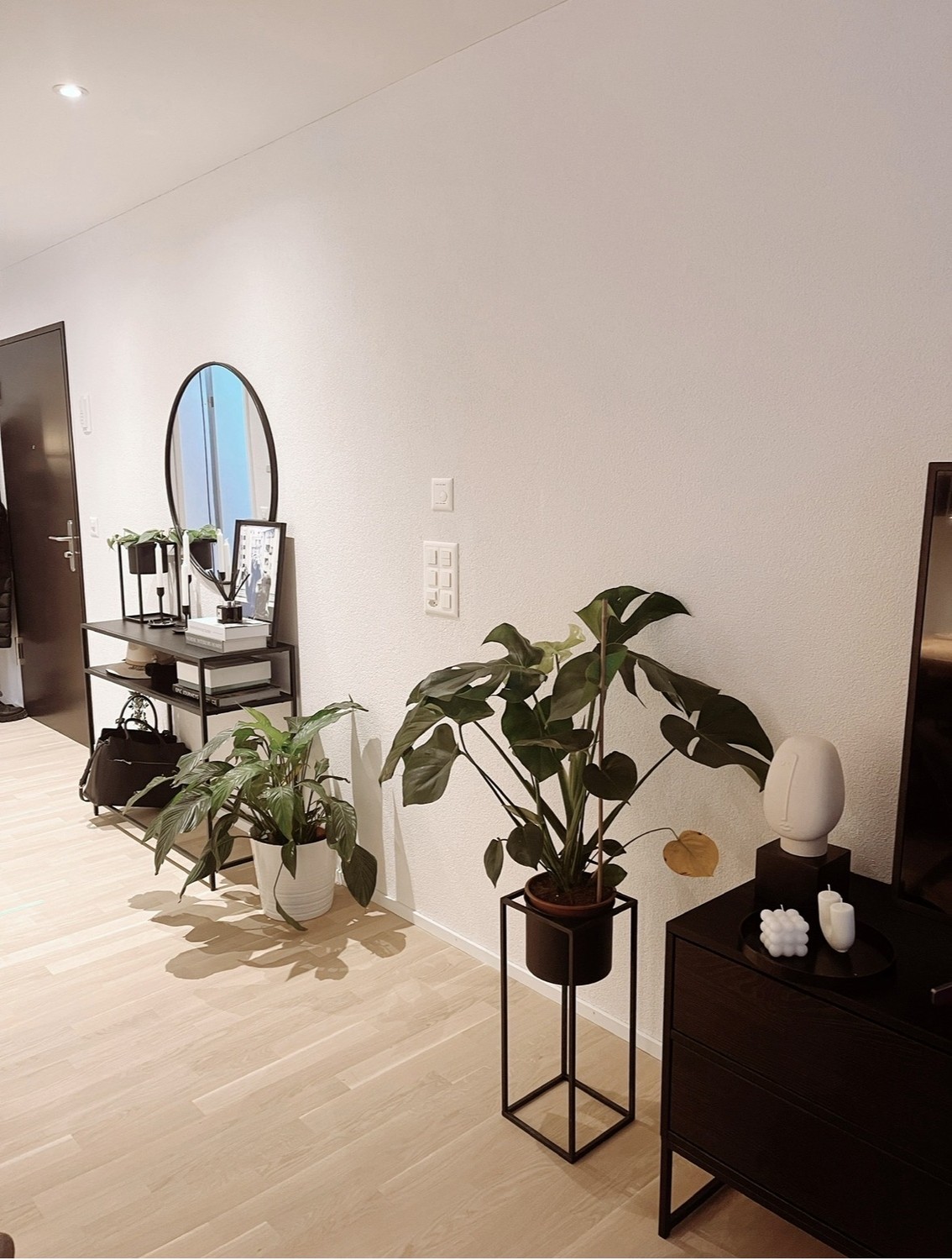 Appartement de 2 ½ pièces
