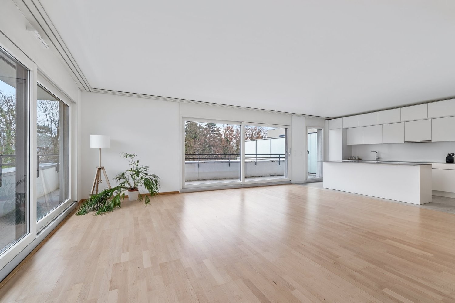 Appartement de 6 ½ pièces