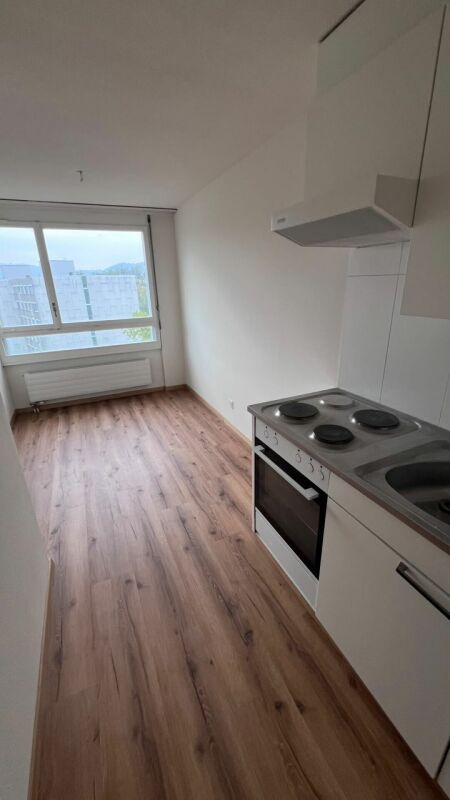 Appartement de 1 ½ pièces, photo 2 sur 10