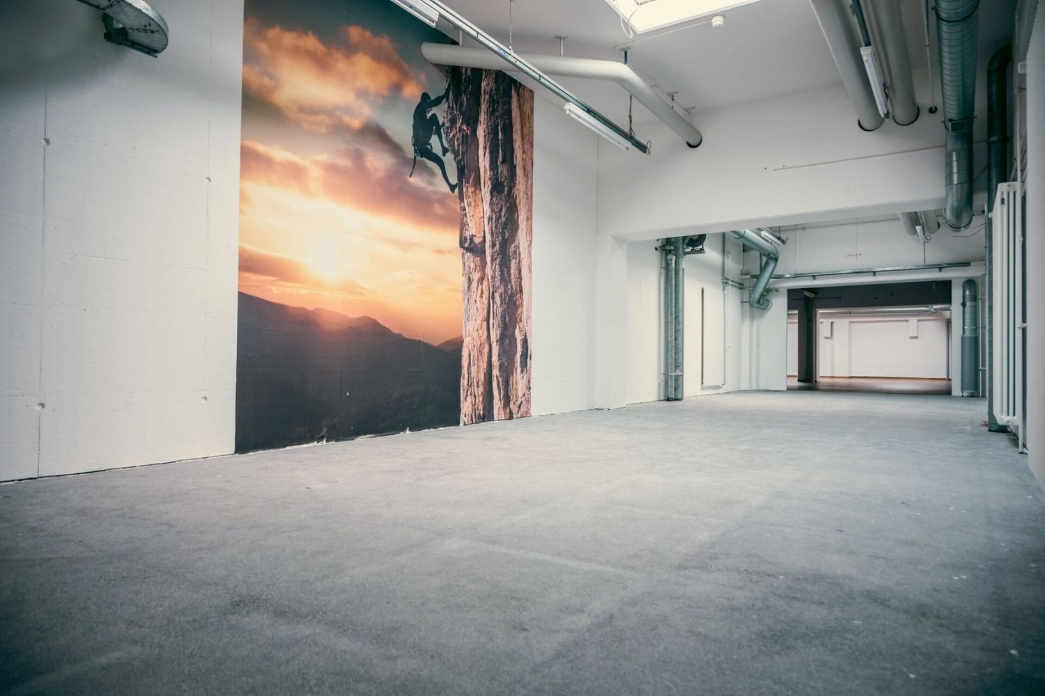 458m² commercial