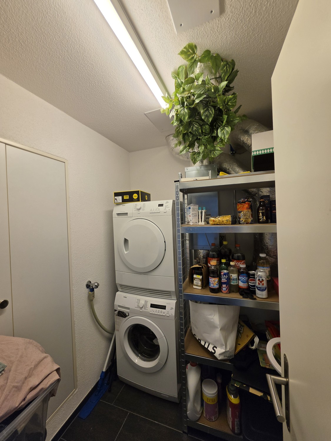 Appartement de 3 ½ pièces, photo 2 sur 10