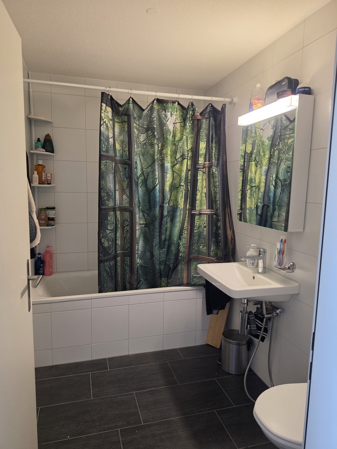 Appartement de 3 ½ pièces, photo 4 sur 10