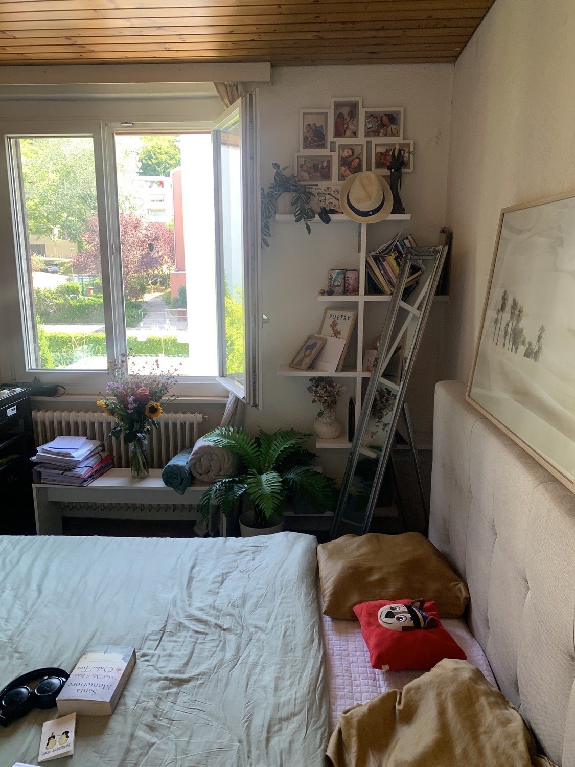 1 room apartment, photo 3 sur 8