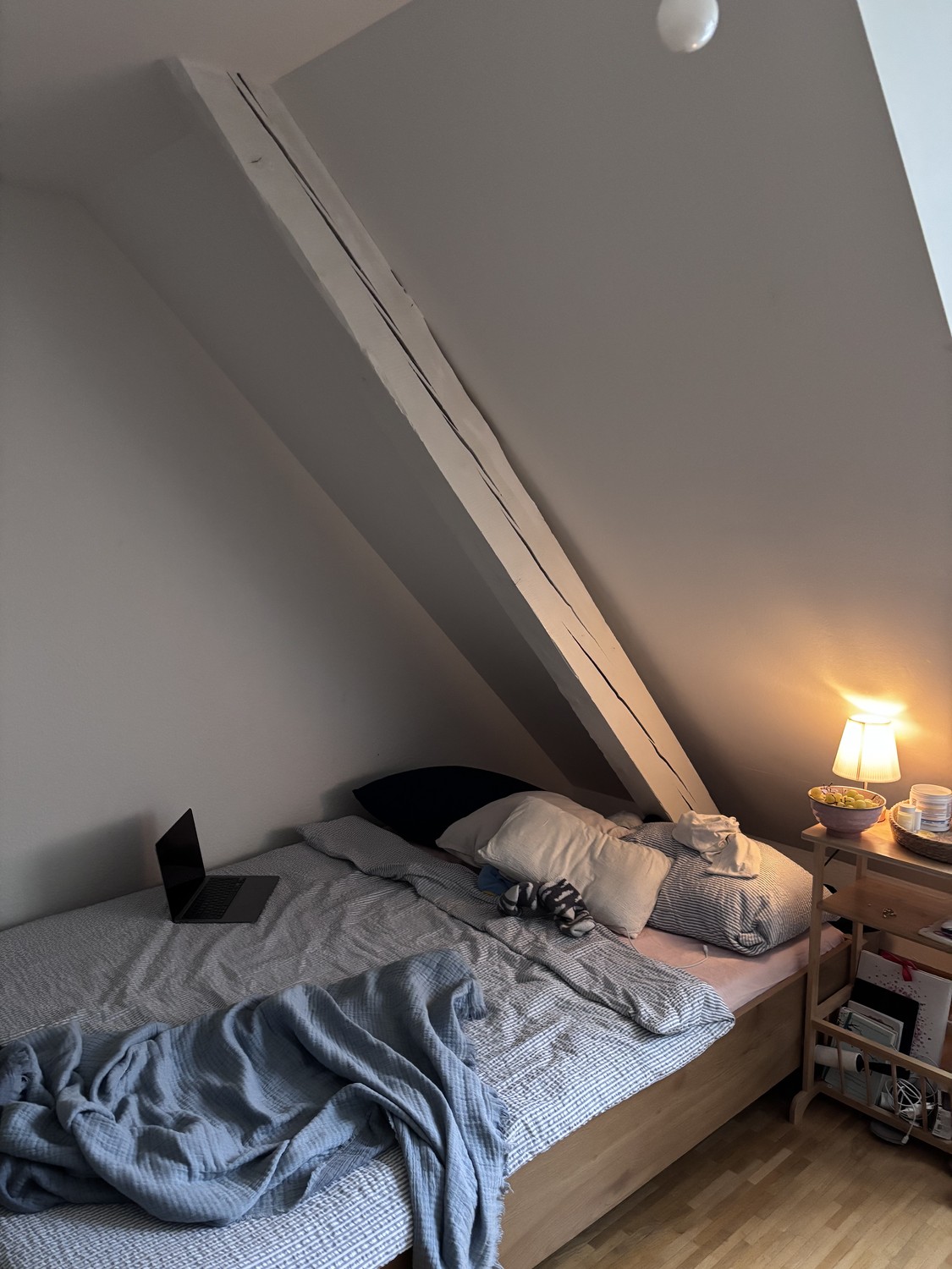 maison individuelle de 1 pièce