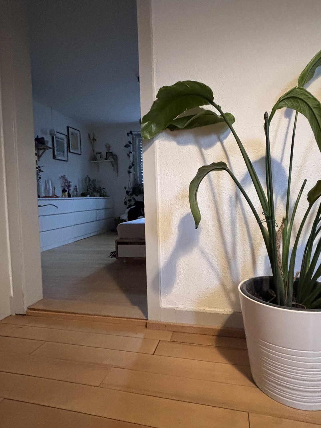 maison individuelle de 1 pièce