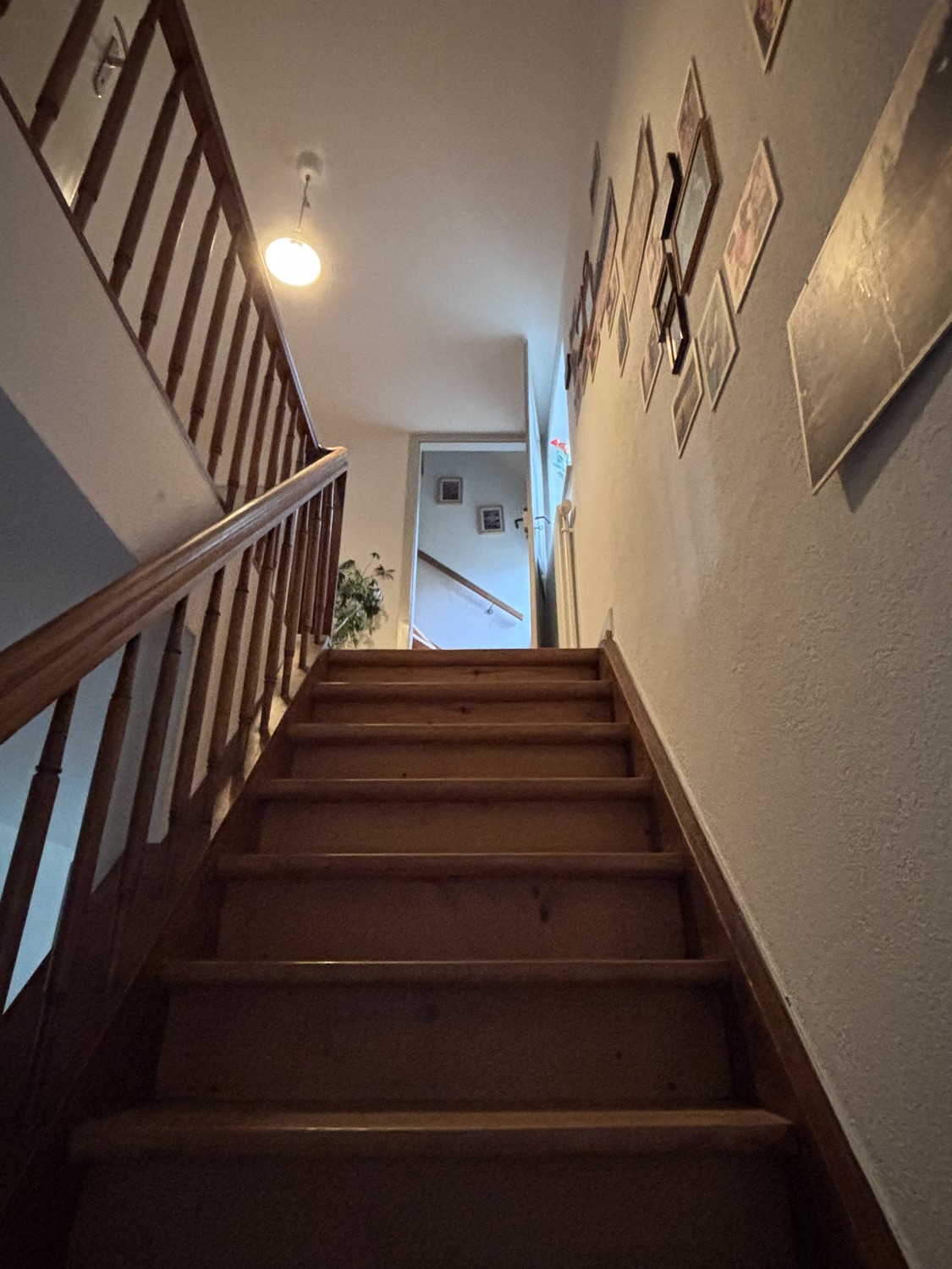 maison individuelle de 1 pièce