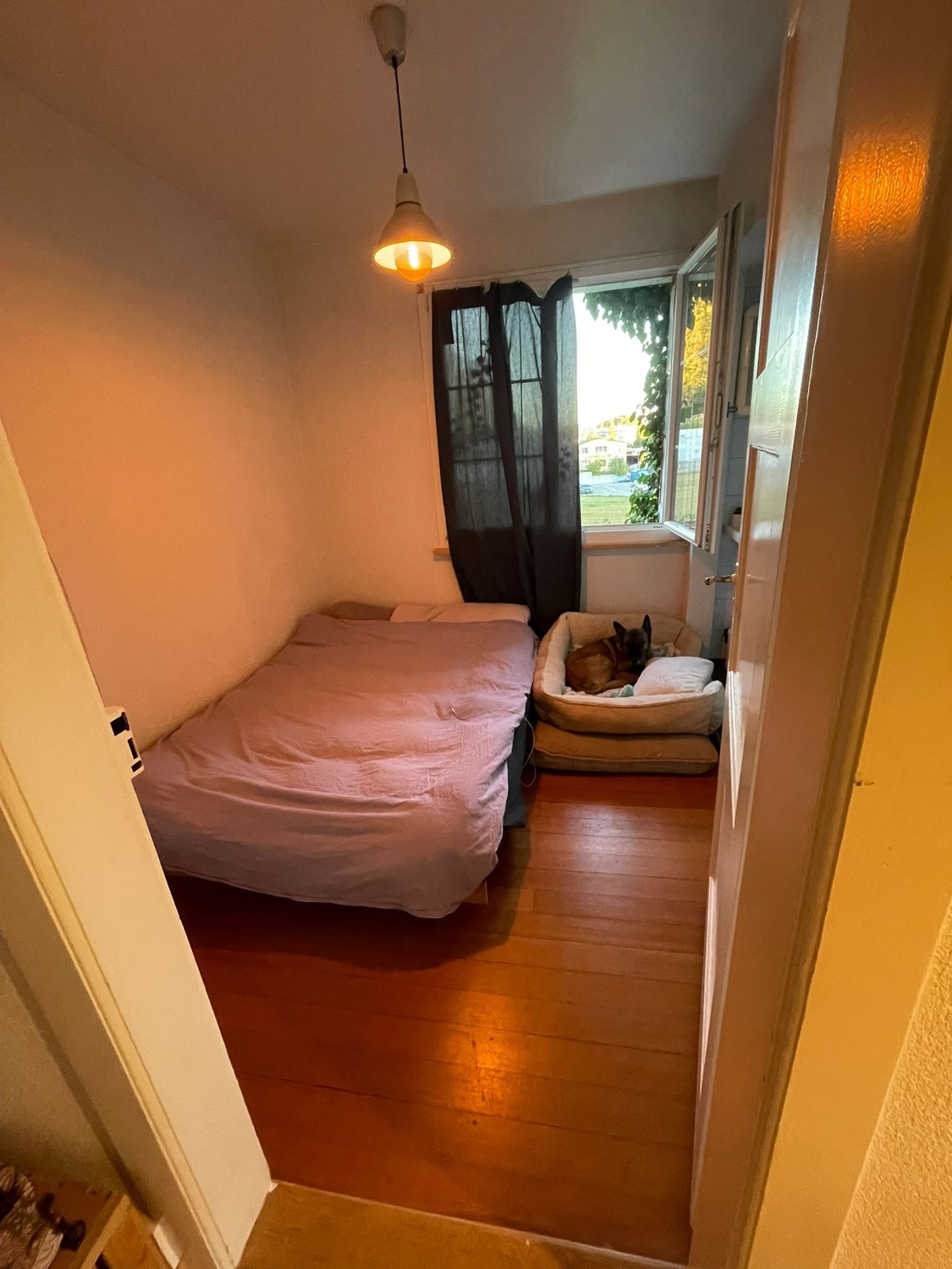 Chambre dans une colocation