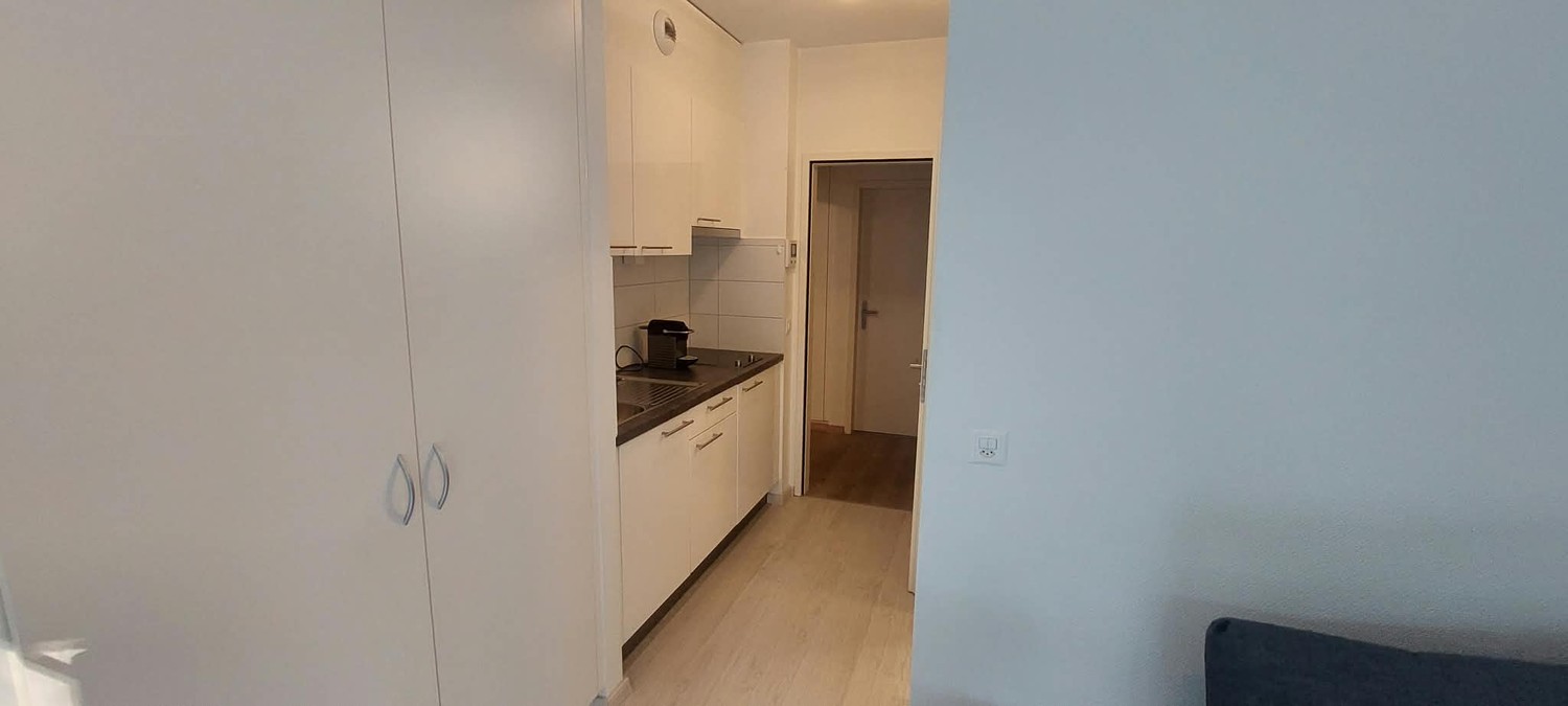 1 ½ rooms apartment, photo 3 sur 4